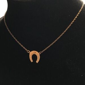 Delicate Chain Gold Tone Rhinestone Horseshoe Choker